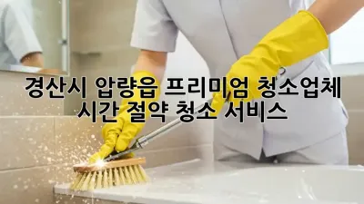 경산시 압량읍 프리미엄 청소업체: 시간 절약 청소 서비스