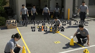 부산 서구 사무실 이사 🚚💨 업체 고르는 법! #꿀팁 대방출